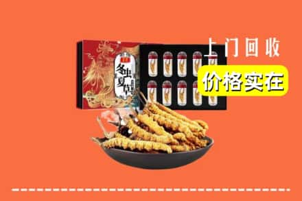 大埔县回收冬虫夏草