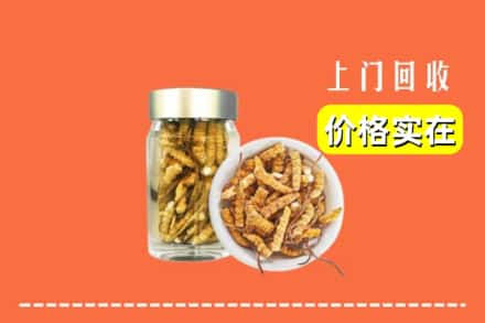 收购资讯:大埔县回收散虫草