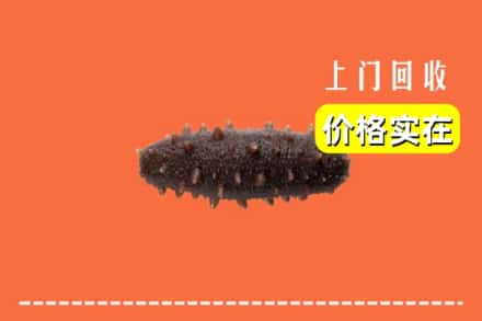 收购资讯:大埔县回收海参